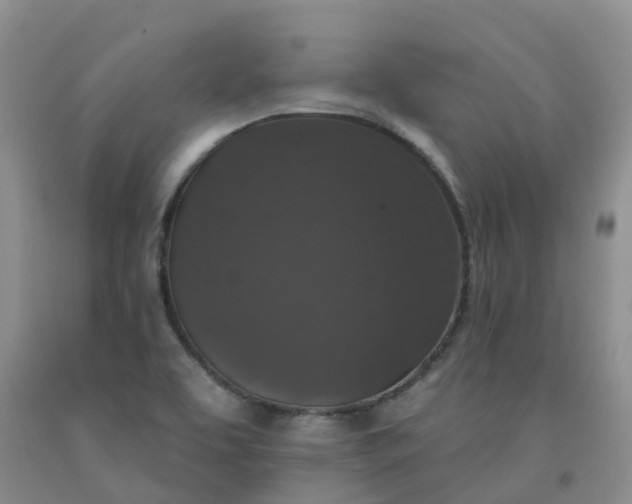 X0000092011463200709201520