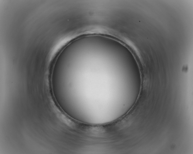 X0000092011464200709201520