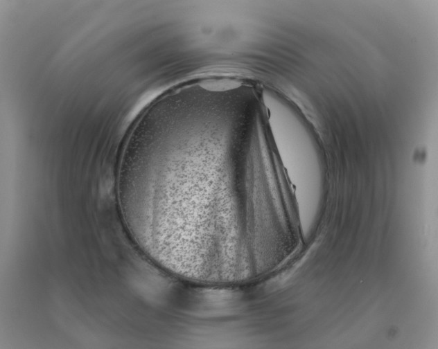 X0000092011465200709201520