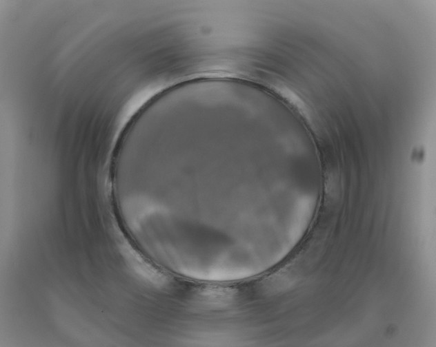 X0000092011466200709201520