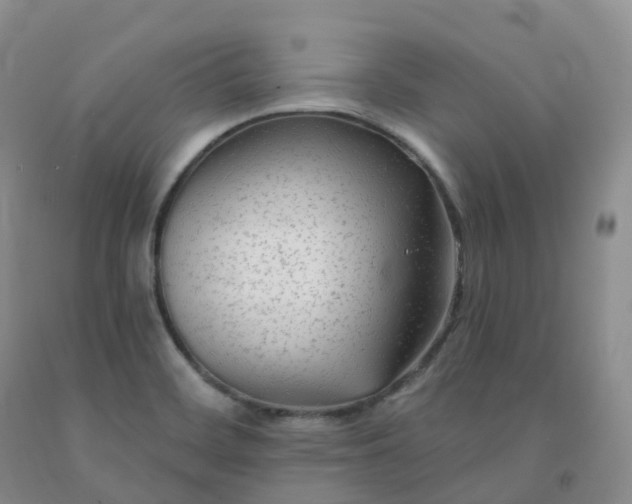 X0000092011468200709201520