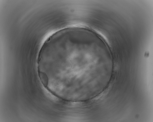 X0000092011471200709201520