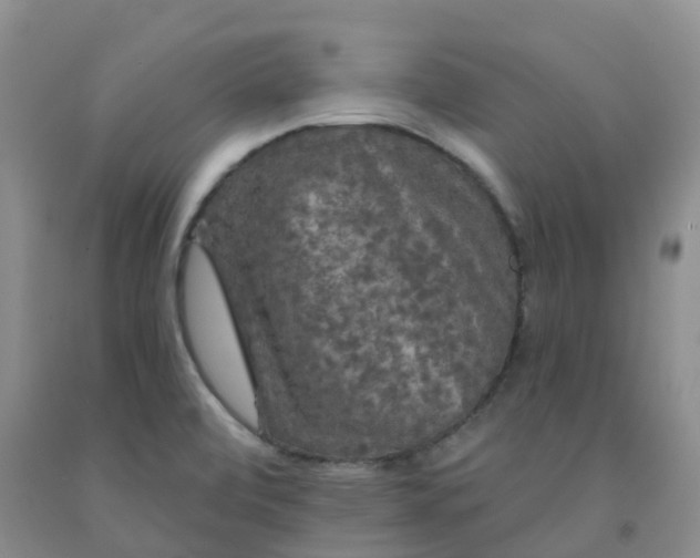 X0000092011472200709201520