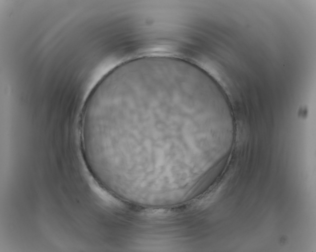 X0000092011474200709201520