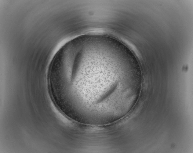 X0000092011475200709201520