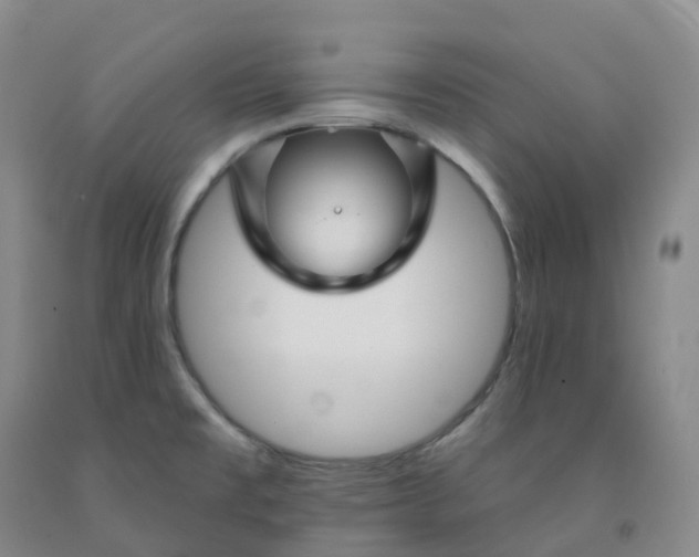 X0000092011477200709201520