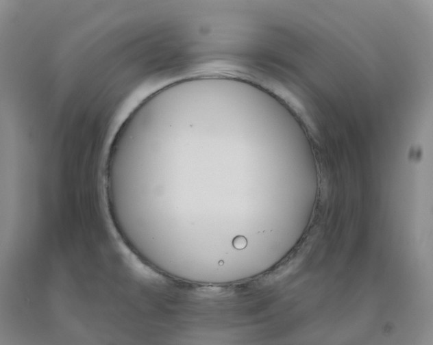 X0000092011478200709201520