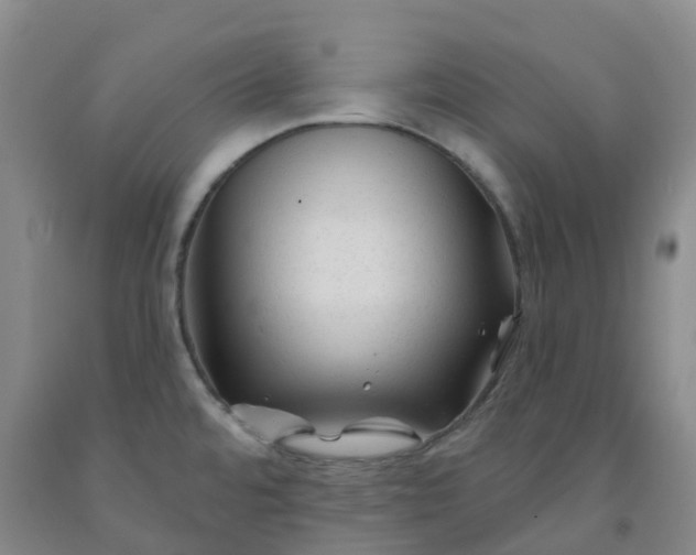 X0000092011480200709201520