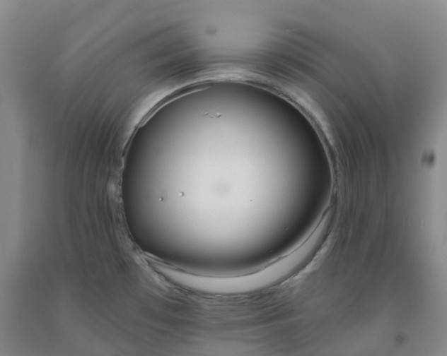 X0000092011481200709201520