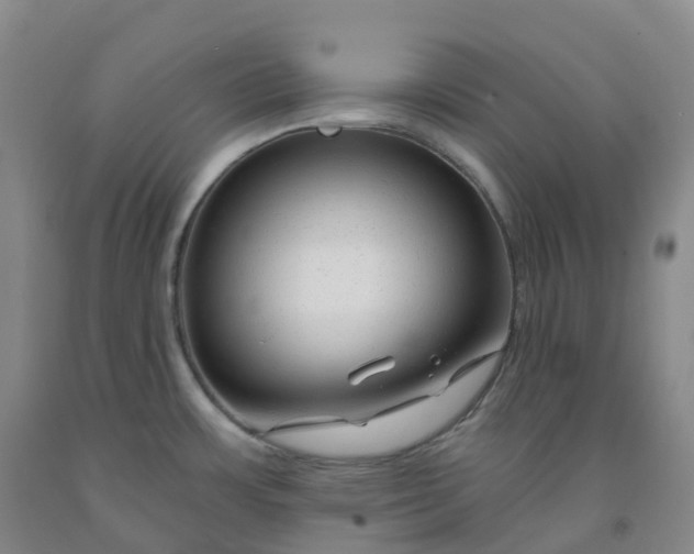 X0000092011483200709201520
