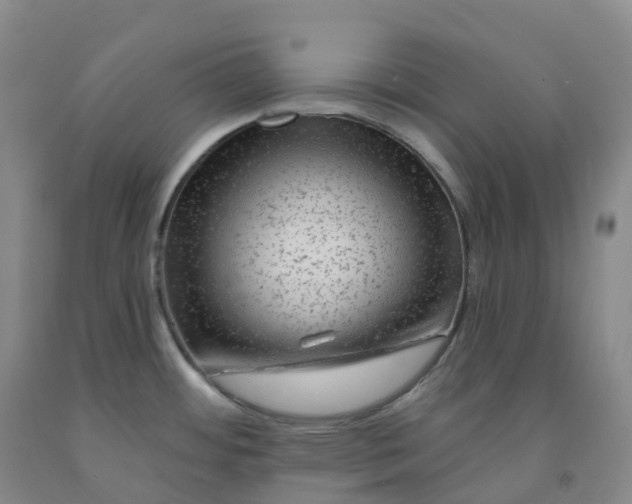 X0000092011484200709201520