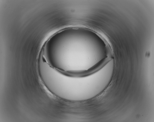 X0000092011485200709201520