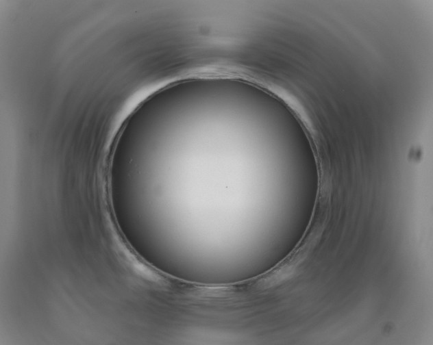 X0000092011486200709201520