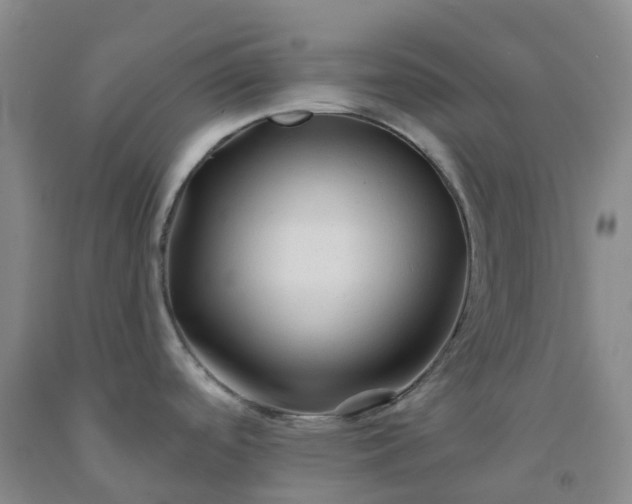X0000092011488200709201520