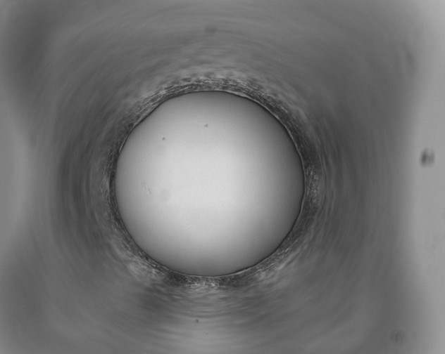 X0000092011489200709201519