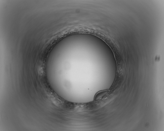 X0000092011490200709201519