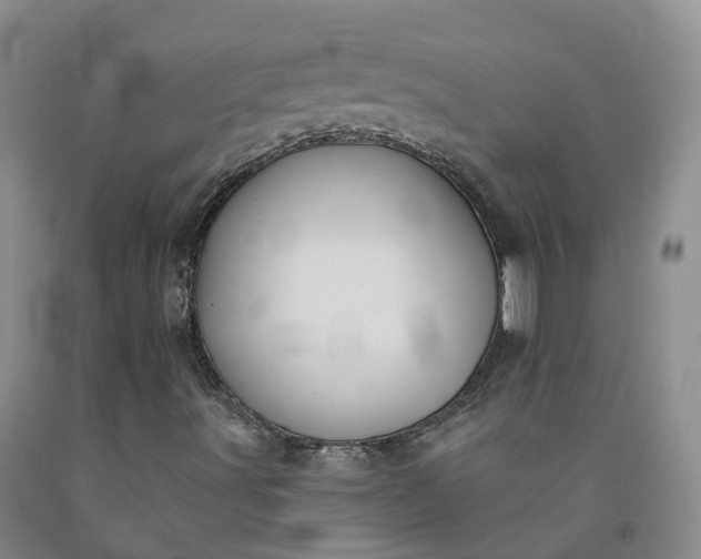 X0000092011491200709201519