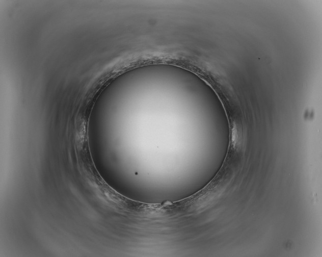 X0000092011492200709201519