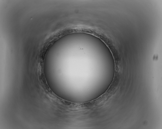 X0000092011493200709201519