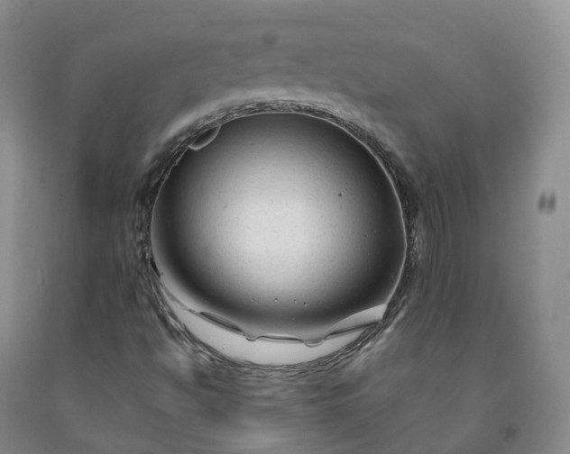 X0000092011494200709201519