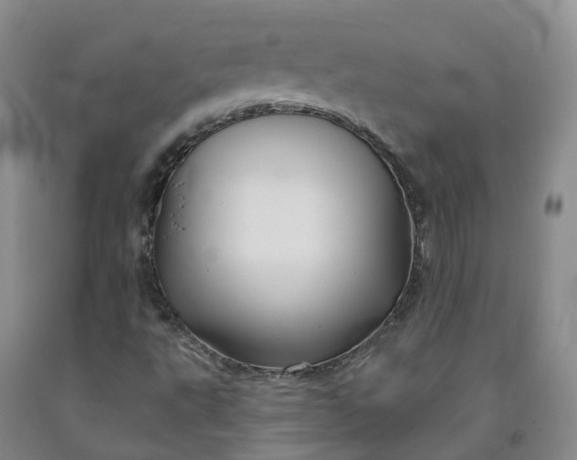 X0000092011495200709201519