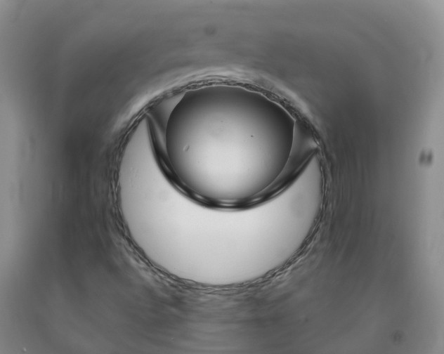 X0000092011496200709201519