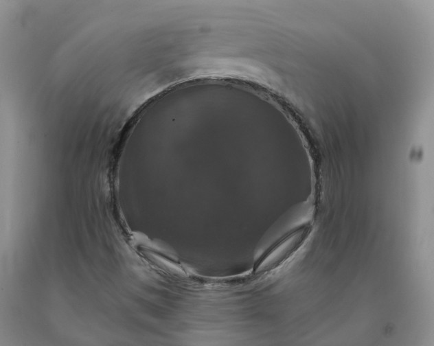 X0000092011497200709201519