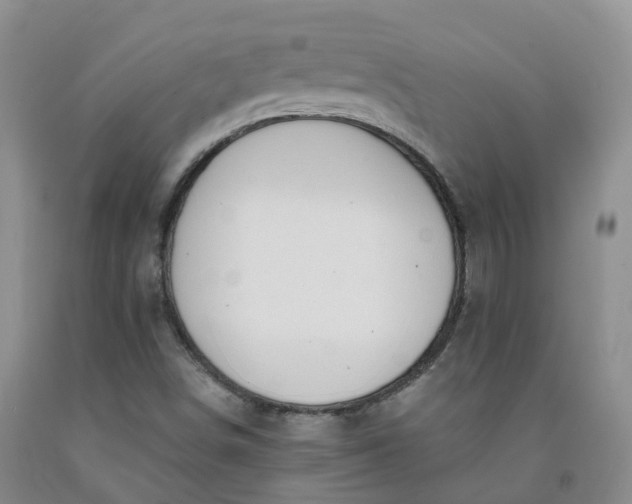 X0000092011498200709201519