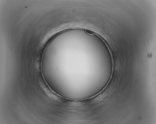 X0000092011499200709201519