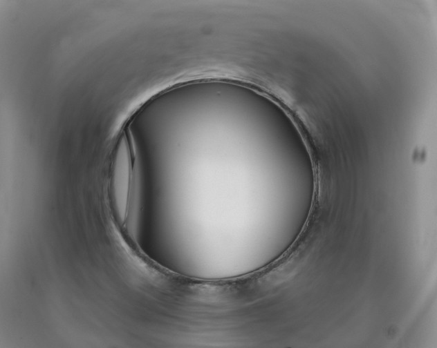 X0000092011500200709201519