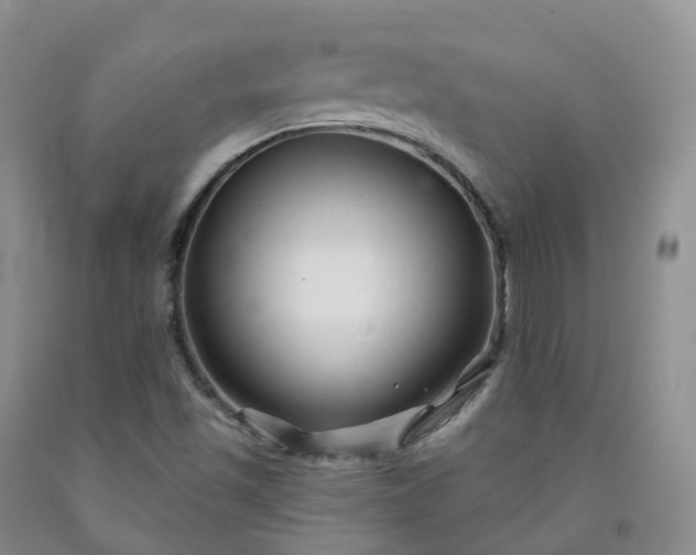 X0000092011501200709201519