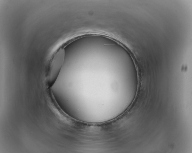 X0000092011503200709201519