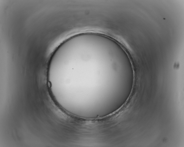 X0000092011504200709201519