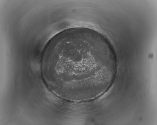 X0000092011505200709201519