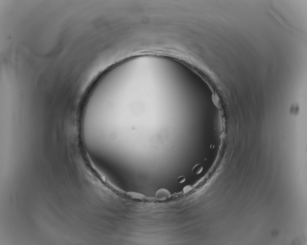 X0000092011506200709201519
