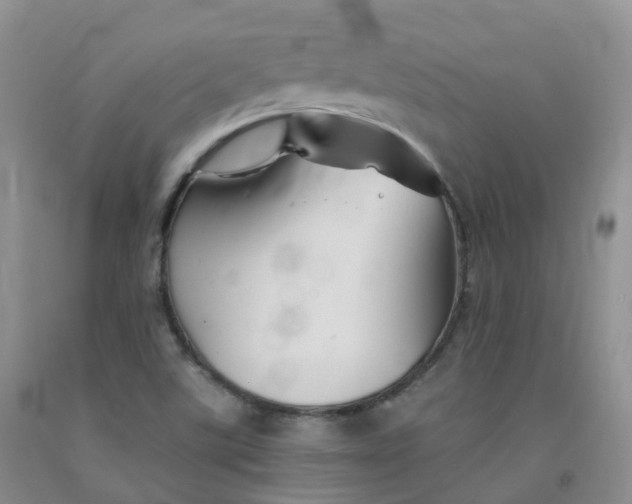 X0000092011507200709201519