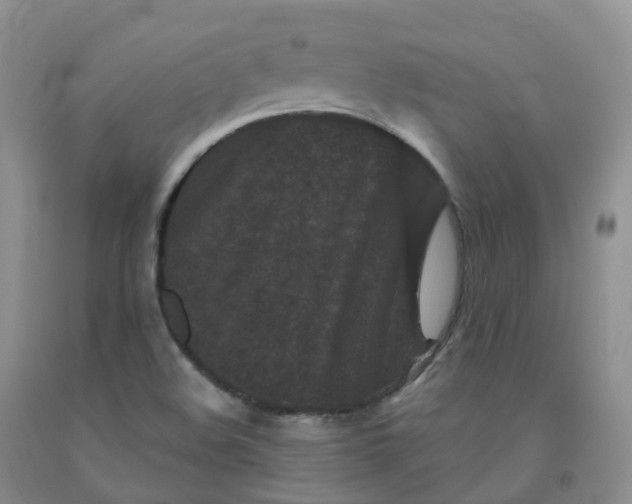 X0000092011508200709201519