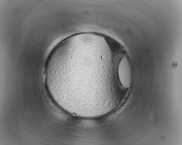 X0000092011509200709201519