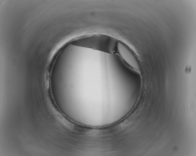 X0000092011510200709201519