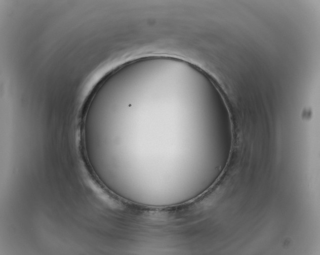 X0000092011511200709201519