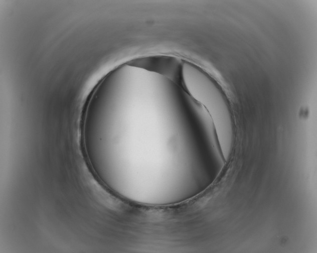 X0000092011512200709201519