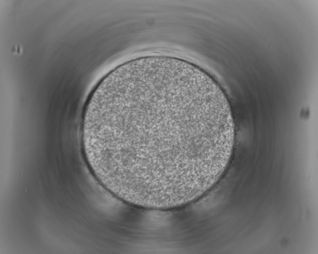 X0000092011514200709201519