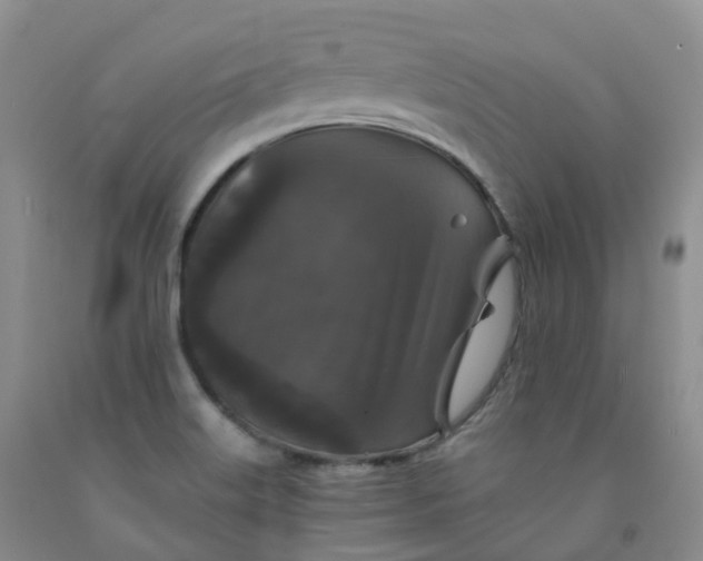 X0000092011515200709201519