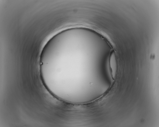 X0000092011516200709201519