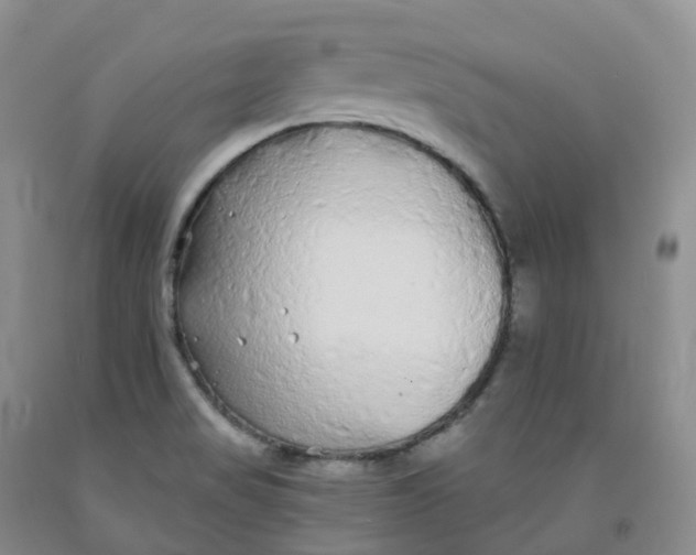 X0000092011517200709201519