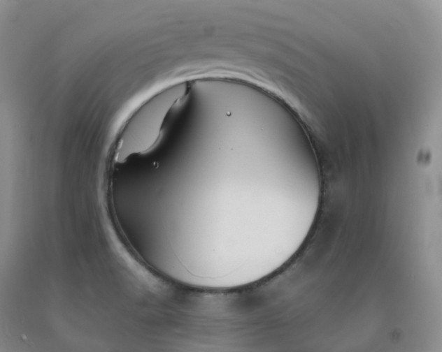 X0000092011518200709201519