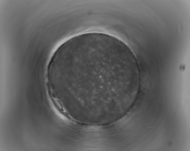 X0000092011519200709201519
