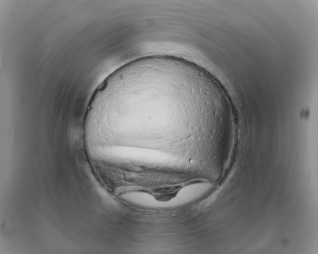X0000092011521200709201519