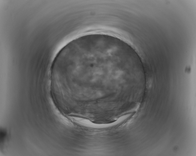 X0000092011522200709201519