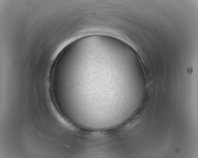 X0000092011523200709201519